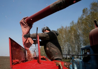 Украинских аграриев заставят сеять и сажать по стандартам ЕС