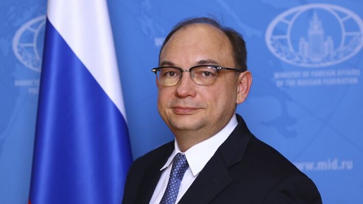 Директор департамента экономического сотрудничества МИД РФ Дмитрий Биричевский