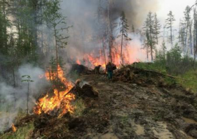 Якутские лесные пожары могут привести к еще более глобальной катастрофе