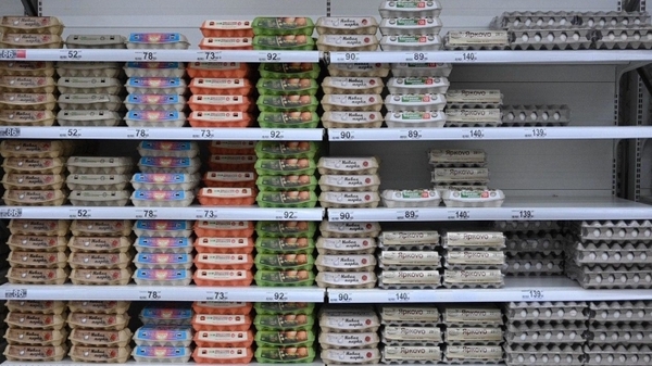 Предновогодний период удивят россиян повышением цен на продукты