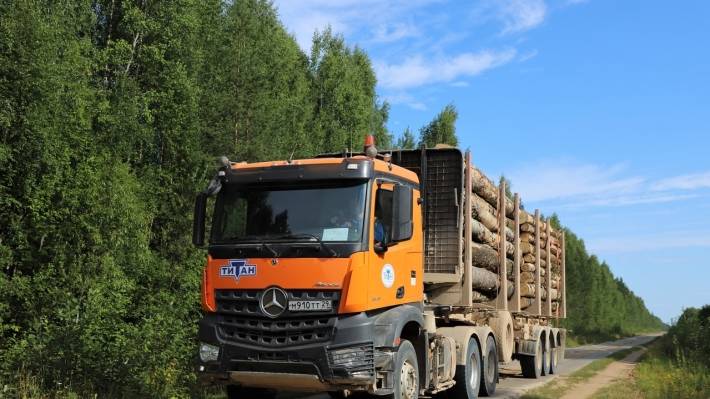 Ограничения на вывоз леса расширяют возможности внутреннего рынка России