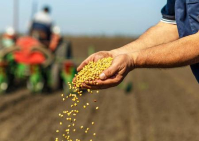 На Украине бизнес парализован, весенне-полевые работы на грани срыва — работать некому