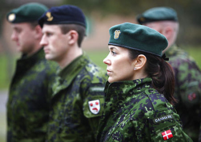 В Дании создали Украинский Фонд. За счет его Киеву отправится крупный пакет военной помощи