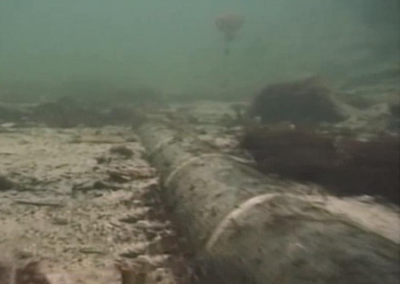 Писториус обвинил Россию в финансировании украинской группы, которая взорвала «Северные потоки»