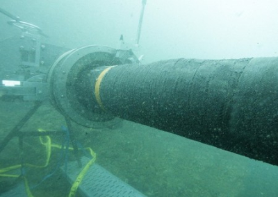 В администрацию Байдена вселился дух трусливого чиновника