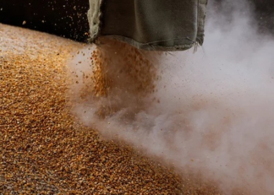 Турция обвинила Запад в невыполнении российской части зерновой сделки