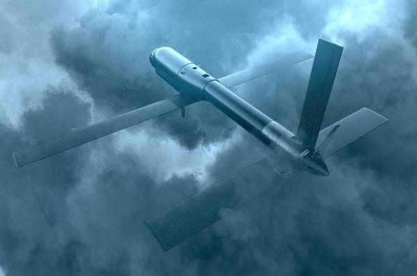 Букет из Герани и Ланцета