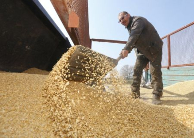 В Словакии усилят контроль за украинским зерном