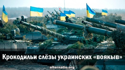 Крокодильи слёзы украинских «воякыв»