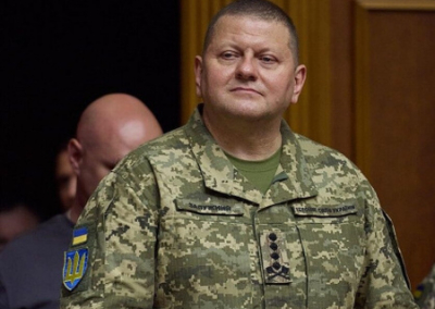 Маляр утверждает, что главком ВСУ Залужный жив