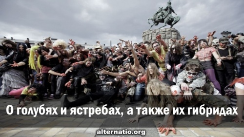 О голубях и ястребах, а также их гибридах