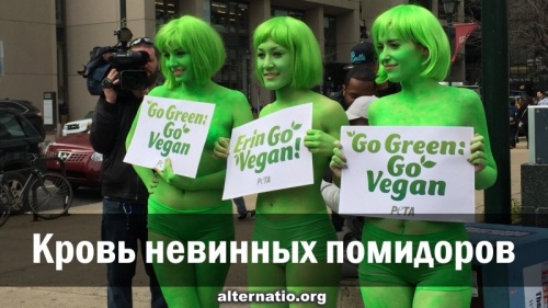 Кровь невинных помидоров