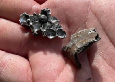 ВСУ ведут обстрелы ДНР, Белгородской и Курской областей. Обзор ситуации в прифронтовых регионах России на вечер 16 июня