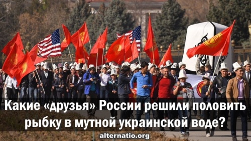 Какие «друзья» России решили половить рыбку в мутной украинской воде?