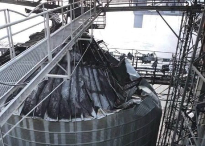 Киевский режим заявил об уничтожении 60 тысяч тонн зерна в порту Черноморска