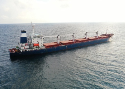 Германия отказалась участвовать в защите зерновозов с украинским зерном в Черном море