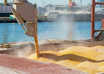 Российские и турецкие дипломаты достигли принципиальной договоренности о поставке миллиона тонн зерна
