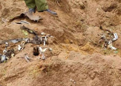 ВСУ ведут обстрелы ДНР, Белгородской, Брянской и Курской области. Обзор ситуации в прифронтовых регионах России на вечер 31 октября