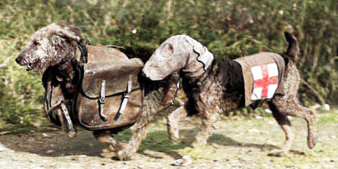 Кто хочет стать Вассерманом — 133