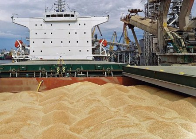 Румыния запустила механизм импорта украинской агропродукции, согласованный с Киевом