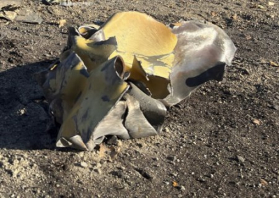 Украинские войска ведут обстрелы ДНР, Белгородской и Курской области. Обзор ситуации в прифронтовых регионах России на вечер 1 ноября