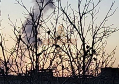 ВСУ ведут обстрелы ДНР и Белгородской области. Обзор ситуации в прифронтовых регионах России на вечер 2 ноября