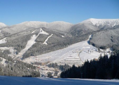 Новогодние гастроли в Буковель. Билет на Полякову, Пономарёва и DZIDZIO стоит от 4000 до 5300 гривен