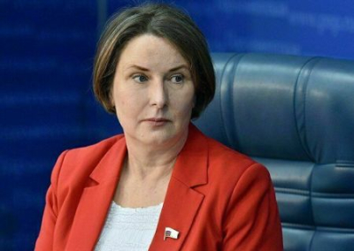 Депутат Думы призвала жителей России брать в руки лопаты и убирать снег