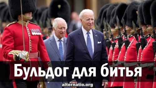 Бульдог для битья