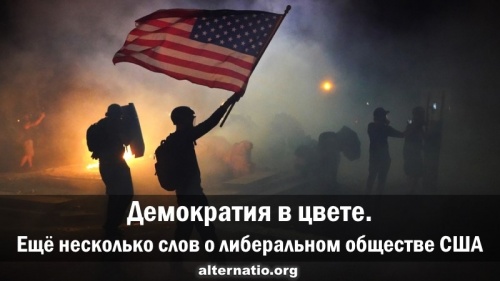 Демократия в цвете. Ещё несколько слов о либеральном обществе США