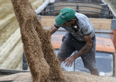 Венгрия не снимет запрет на ввоз украинского зерна