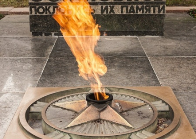 В Подмосковье 14-летняя россиянка жарила сосиски на Вечном огне. Дело на контроле СК