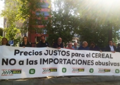 Испанские фермеры требуют сократить ввоз зерна с Украины