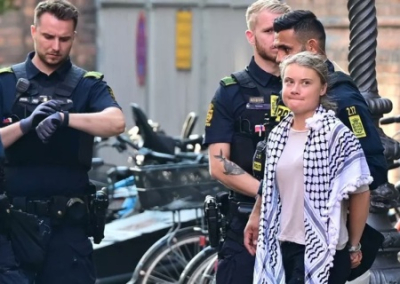 Грету Тунберг взяли под арест на акции в поддержку Палестины