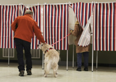 В программу для составления списка избирателей на выборы президента США внедрили гимн Украины