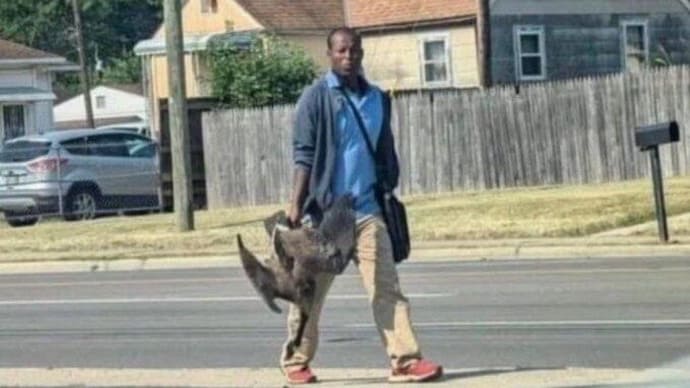 «Больше невозможно терпеть» — в 60-тысячный Спригнфилд (США) подселили 20 тысяч гаитян, сожравших всю живность