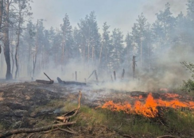 Подрыв мин привёл к апокалипсису в Харьковской области — 1200 га леса горят от Балаклеи до севера ДНР