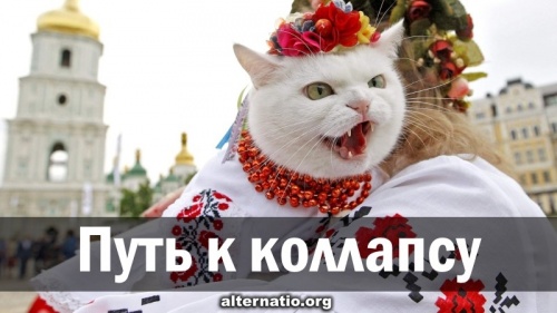 Путь к коллапсу