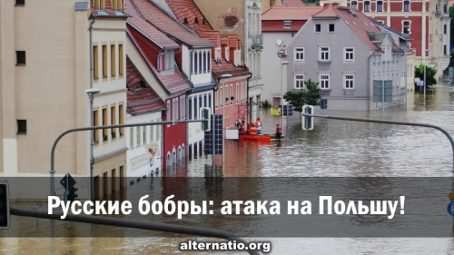 Русские бобры: атака на Польшу!