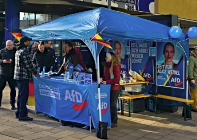 Партию АдГ признали в Германии правоэкстремистской