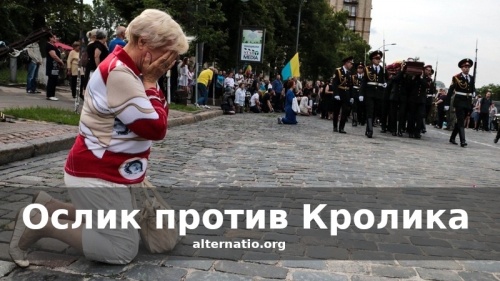 Ослик против Кролика