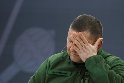 Залужный раскритиковал НАТО за медлительность и  веру в «волшебную палочку»