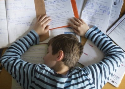 Володин призвал отменить домашние задания для школьников