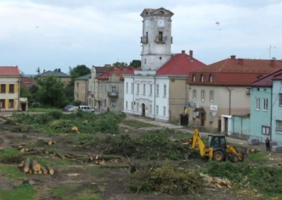 В пригороде Львова местные чиновники декоммунизировали сквер, вырубив «советские деревья»