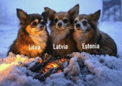 «Железный занавес», «живая крепость» и металлические ворота: прибалты готовятся дать отпор «агрессорам»