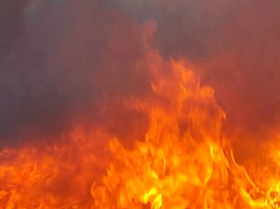 В Германии подожгли  ЛЭП. Без света остались 50 тысяч потребителей