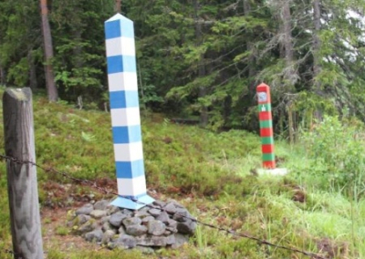 Россия усилит защиту госграницы с Финляндией — Медведев