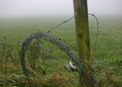 Латвия намерена восстановить болота на границе для защиты от России