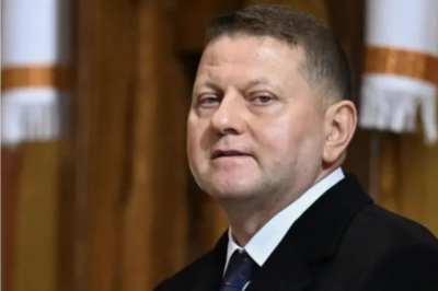 Залужный  опечален предстоящим концертом  Анны Нетребко в Лондоне