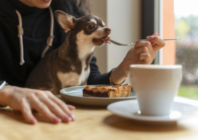 Останина призвала любителей животных обедать со своими собаками в кафе за одним столом